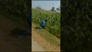 Download lagu Bocil keseret layangan 😭🗿 #beranda #viral #layangan mp3