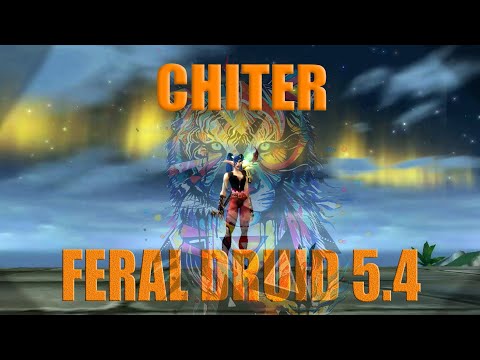 CHITER | FERAL DRUID  PVP 5.4 #1