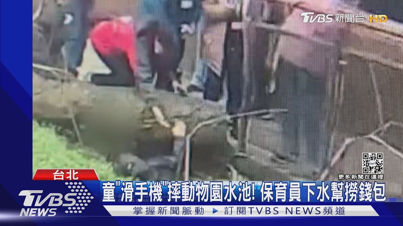 童「滑手機」摔動物園水池! 保育員下水幫撈錢包