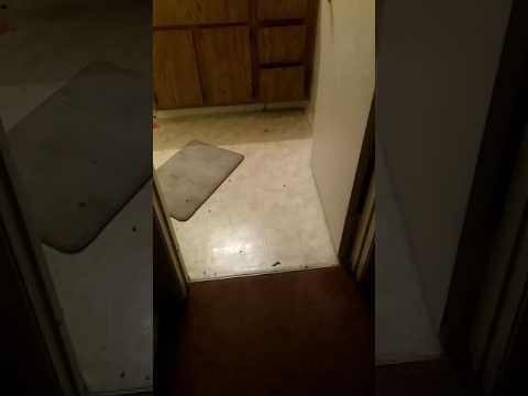 Rivershore Apartments in baypoint CA