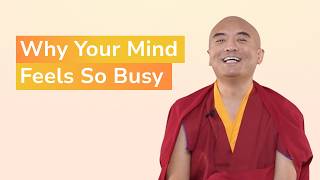 The Waterfall Experience: What Really Happens When You Start Meditating with Yongey Mingyur Rinpoche