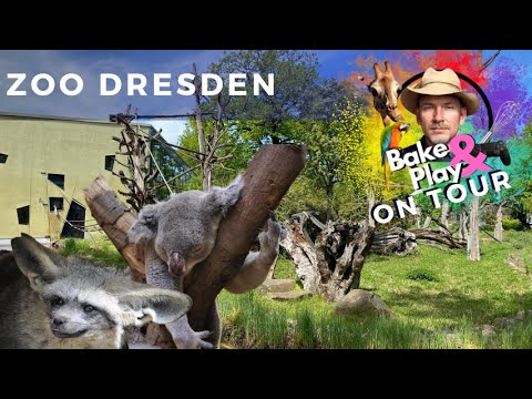 Bake & Play on Tour - Zoo Dresden