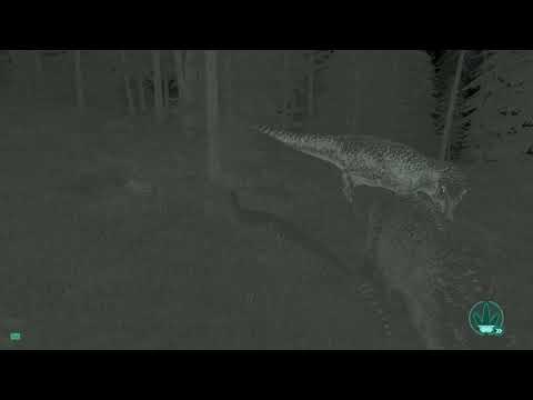 Dilo vs Rex The Isle