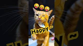 2026/5/21_82 貪吃SV #橘ひなの #橘貓 #橘猫 #貓咪日常 #cat #cute #貓貓日常 #貓貓 #可愛い猫