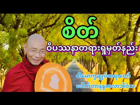 စိတ်ကို ဝိပဿနာရှုမှတ်နည်း တရားတော်၊ ပါမောက္ခချုပ်ဆရာတော် ဒေါက်တာနန္ဒမာလာဘိဝံသ