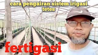 Download lagu cara pengairan sistem irigasi tetes/fertigasi mp3 Download lagu cara pengairan sistem irigasi tetes/fertigasi mp3