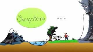 Das Ökosystem Begriffserklärung am Beispiel Wald | Biologie | Ökologie