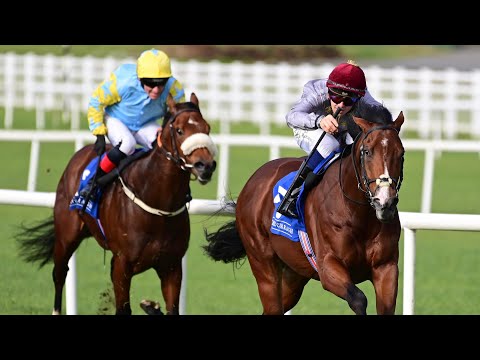 SARACEN wins the 2024 Irish Stallion Farms EBF Maiden