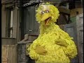 Sesame Street Big Bird Sings Second Best
