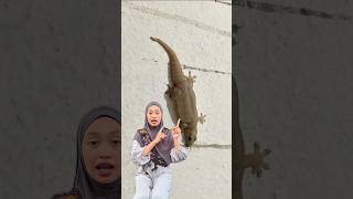 Download lagu Gimana suara cicak? #shorts mp3 Download lagu Gimana suara cicak? #shorts mp3