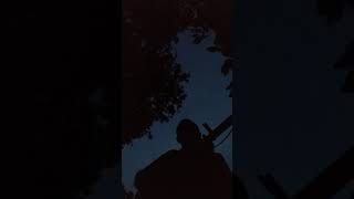 Angelo Branduardi - La Sposa Rubata (cover)