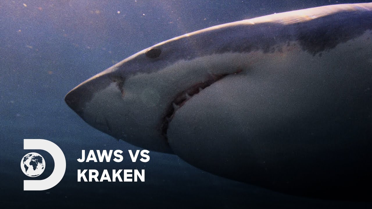 Battle of the Ocean's Beasts | Jaws vs Kraken