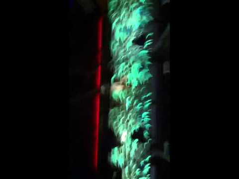 Egbert (live) @ Space Kehakuma Ibiza