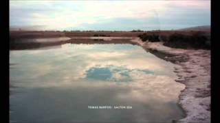 Tomas Barfod - November Skies (Carnage Remix)
