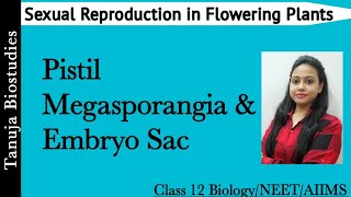 Sexual Reproduction in Flowering Plants - Pistil/Carpel,  Megasporangium & Embryo Sac| Class 12/NEET