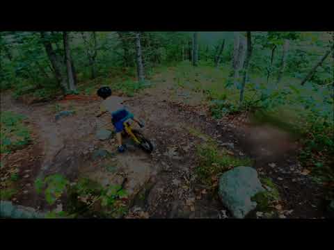 Aido attacks Noanet Woodlands