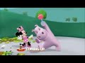 We Get The Baby Hippo To Move With A Baby Rattle