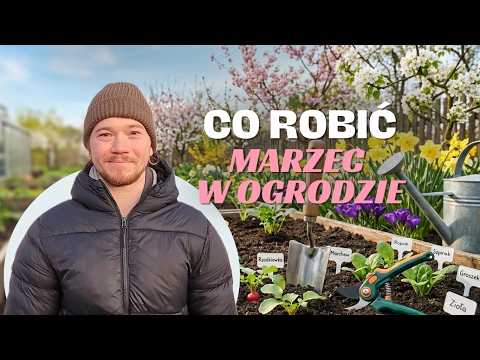 What to do in the garden in MARCH? Sowing, planting, pruning, spraying