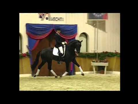 Benetton Dream Gestüt W.M.