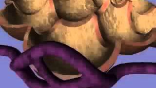 External respiration