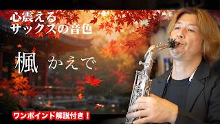Download lagu 楓 /かえで【スピッツ】エモいサックスはこれだ!色気の秘密は最後に。発表会にもぜひ mp3 Download lagu 楓 /かえで【スピッツ】エモいサックスはこれだ!色気の秘密は最後に。発表会にもぜひ mp3