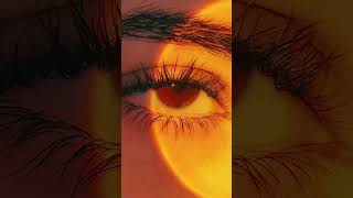 Download lagu A SMALL FACE REVEAL #brookhaven #roblox #raylashon mp3 Download lagu A SMALL FACE REVEAL #brookhaven #roblox #raylashon mp3