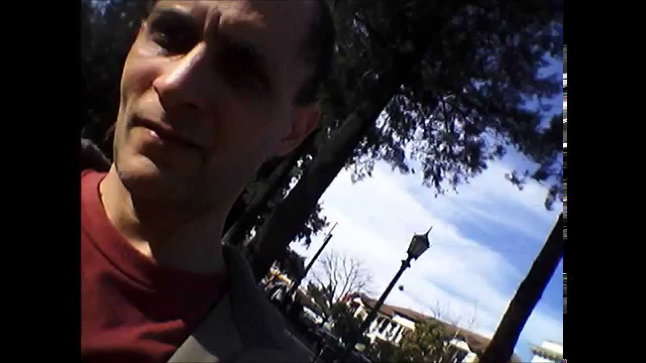 LA COMPAÑERA - ZAMBA - VALLES - por MARCELO PEREA