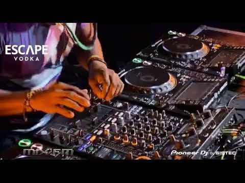 Transmissão em direto de Paulo Alves