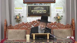 הרב בן ציון מוצפי  •  הנהגות התפילה (בית הכנסת מוסאיוף) - התמונה מוצגת ישירות מתוך אתר האינטרנט יוטיוב. זכויות היוצרים בתמונה שייכות ליוצרה. קישור קרדיט למקור התוכן נמצא בתוך דף הסרטון