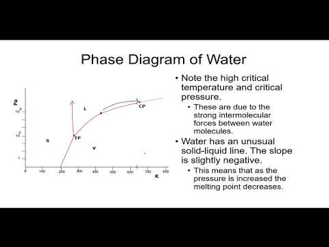 Phase Diagram Terms Explained with Examples (Water and Carbon Dioxide)
