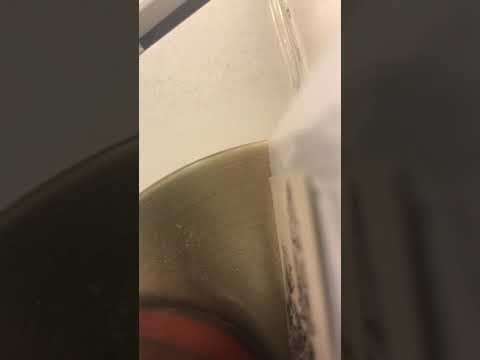 CDC recommendation BLOOM