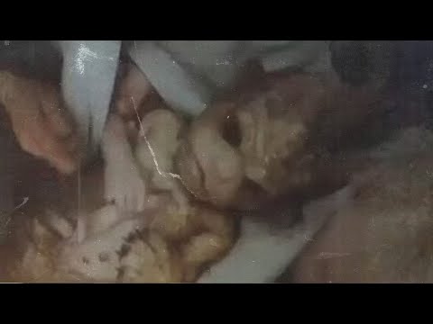 Genetic Experiments That Could Change Humanity Forever