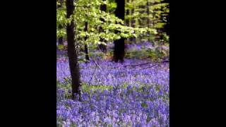 My old friend the blues