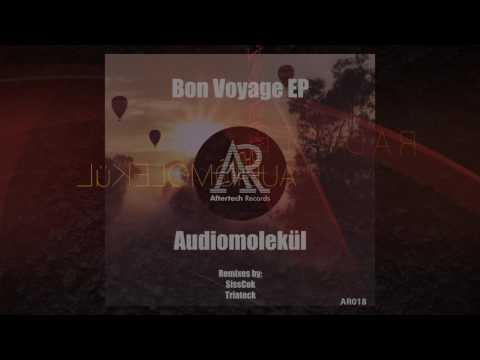 Audiomolekül - Radiate (Triateck Remix)