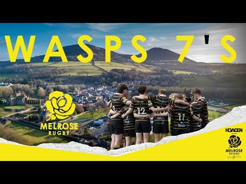 Melrose Wasps Youth 7's | FRIDAY