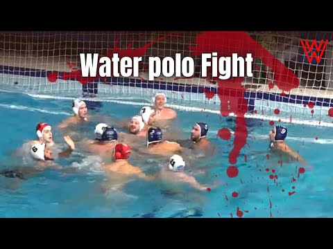 Who is to blame?😳👊🏼❌