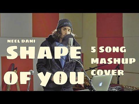 Ed Sheeran - Shape of You ft. Dub FX, Sean Paul, Rupee & Rae Sremmurd (Neel Dani Mashup)