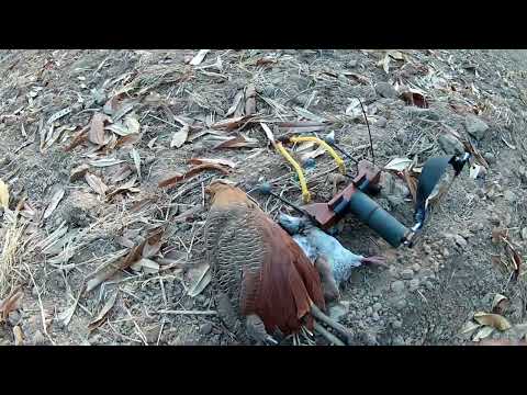 A little walk around the field with a slingshot (God is good and blesses my journeys!)