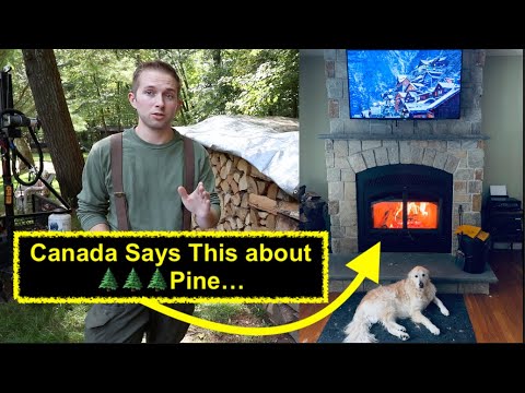 🌲Can you Burn Pine in a Wood Stove / Fireplace? 🚧 What Canada Says: