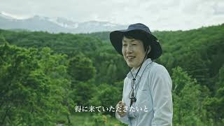 HEALING TIME in forest