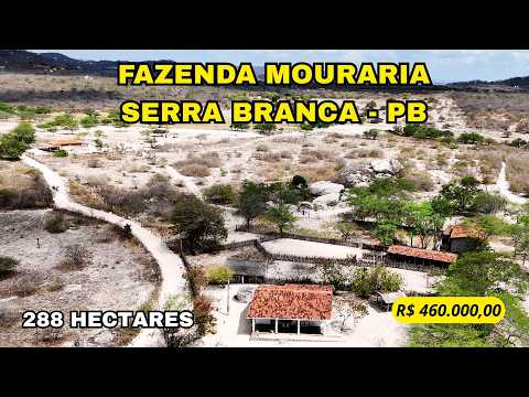 🌾 FAZENDA MOURARIA – SOLO MINERALIZADO E EXCELENTE CUSTO-BENEFÍCIO NO CARIRI PARAIBANO 🌾