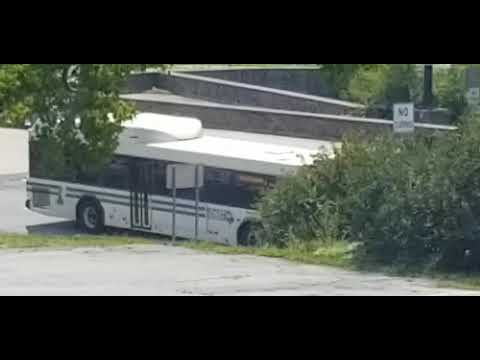 Dart 2012 Gillig hybrid #151 on route 2