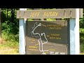 FREE CAMPING - JEFF BUSBY CAMPGROUND, NATCHEZ TRACE PA4KWAY, MS