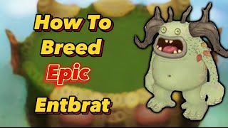 How To Breed EPIC Entbrat | My Singing Monsters