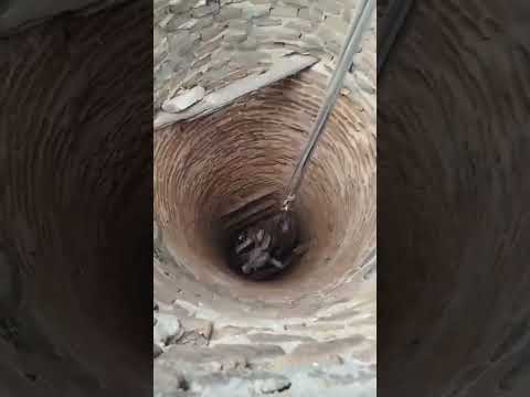 Bombeiros resgatam jumento em poço de 10 metros em Ipanguaçu