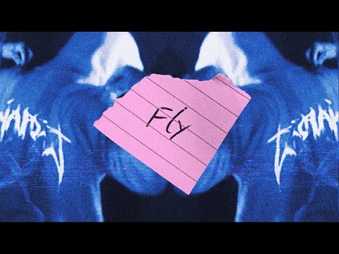 Video thumbnail for Fly
