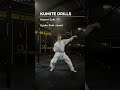 Kumite Drills