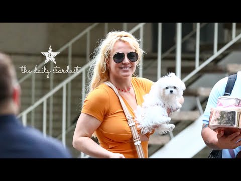 Britney Spears Is Seen Out In Public For The First Time Since Explosive Memoir Release