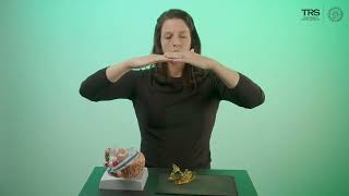 Craniosacral Therapy | Demystifying Cranial Rhythm