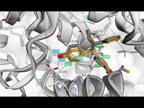 Docking molecular com Google Colaboratory